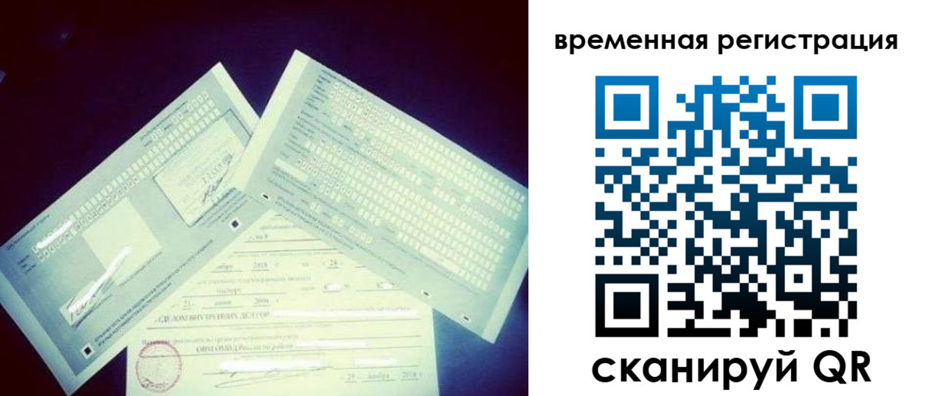 прописка для школы в Курганинске